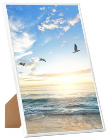 vidaXL Κορνίζες Κολάζ Επιτραπέζιες 5 τεμ. Λευκές 18 x 24 εκ. MDF