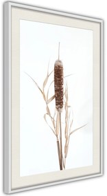 Αφίσα - Typha - 40x60 - Μαύρο - Με πασπαρτού