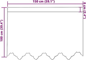 vidaXL Κουρτίνα Δαντέλας με κουρτίνες Λευκό 100 x 150 cm Πολυεστέρας