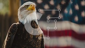 Intra Συλλεκτικό Ξύλινο Παζλ Plywood 4mm - Φαλακρός αετός με αμερικανική σημαία Σε Ξύλινο Κουτί - Διαστάσεις: 10x10 cm – 25 κομμάτια