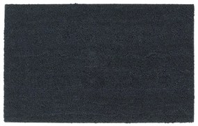 Πατάκι Εισόδου Σκούρο Γκρι 50 x 80 εκ. Θυσανωτός Κοκοφοίνικας