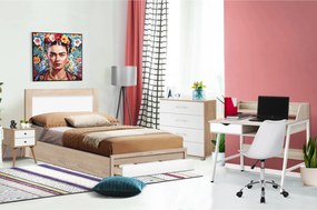 ΣΕΤ ΦΟΙΤΗΤΙΚΟ 6ΤΜΧ HM11994