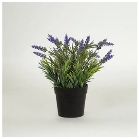 Λεβάντα Σε Γλαστρακι Πλαστικό Μαύρο 20cm 758-14035 Estheti-758-14035-Μαύρο 758-14035