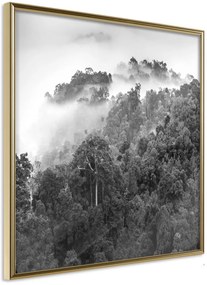 Αφίσα - Foggy Forest - 20x20 - Χρυσό - Χωρίς πασπαρτού