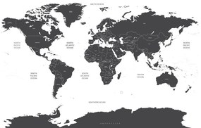 Εικόνα στον παγκόσμιο χάρτη φελλού με μεμονωμένες πολιτείες σε γκρι - 120x80  peg