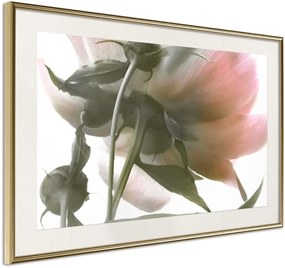 Αφίσα - Under the Flower - 90x60 - Χρυσό - Με πασπαρτού