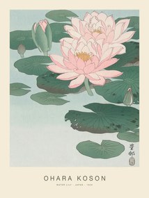 Αναπαραγωγή Water Lily (Special Edition) - Ohara Koson