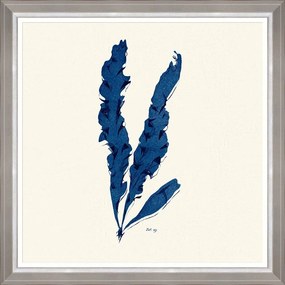 Κάδρο Seaweed  Iv Fa13395 70X70Cm White-Blue Mindthegap Τετράγωνοι Wood