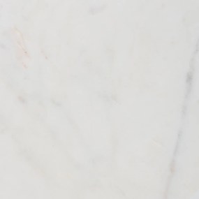 Τουρτιέρα (Φ25x8) S-D Marble 212191