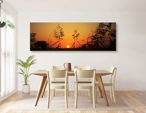 Εικόνα λεπίδες χόρτου στο ηλιοβασίλεμα - 135x45
