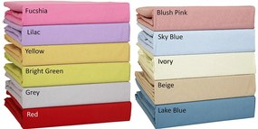 Σεντόνι Μονό Επίπεδο (170x270) Anna Riska Prestige Γαλάζιο