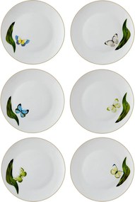 Service Plate Set (6 Pieces) DNR0064 Multicolor