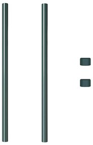 vidaXL Πό posts φράχτη 2 pcs Πράσινο 120 cm