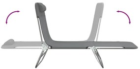 vidaXL Ξαπλώστρες Πτυσσόμενες 2 τεμ. Γκρι από Textilene &amp; Ατσάλι