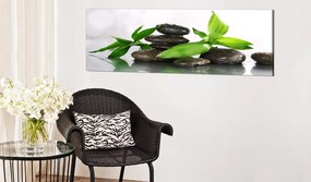 Πίνακας - SPA: Bamboo and Stones 120x40