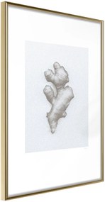 Αφίσα - Ginger Rhizome - 20x30 - Χρυσό - Χωρίς πασπαρτού