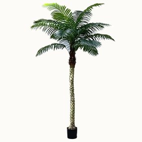 Τεχνητό Δέντρο Φοίνικας Robellini 5890-6 250cm Green Supergreens Polyethylene
