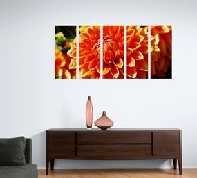 Εικόνα 5 τμημάτων πορτοκαλί ντάλια - 100x50