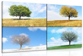 Εικόνα δέντρο στις εποχές - 120x80