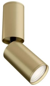 Σποτ Φωτιστικό Οροφής Χρυσό Ματ FOCUS S C051CL-01MG Maytoni-C051CL-01MG-Χρυσό C051CL-01MG