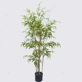 Τεχνητό Δέντρο Μπαμπού Lucky 9990-6 210cm Green Supergreens Plastic