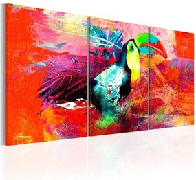 Πίνακας - Colourful Toucan 120x60