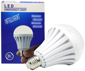 POWERMASTER 15W 6500K Rechargeable LED Lamp
