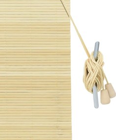 vidaXL Ρόλερ με κουρτίνες Φύση 110 x 220 cm Μπαμπού