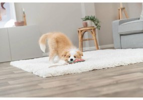 Βελούδινο Ζωάκι για Σκύλους Trixie