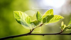 Intra Συλλεκτικό Ξύλινο Παζλ Plywood  4mm - Κοντινό πλάνο των πράσινων φύλλων σε ένα κλαδί Σε Ξύλινο Κουτί - Διαστάσεις: 10x10 cm – 25 κομμάτια