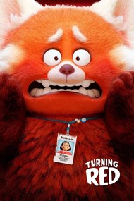 Εικονογράφηση Turning Red (2022)