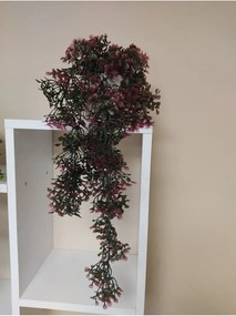 Stewehome Φυτό σιμσίρ κρεμαστό σε λευκή γυαλιστερή γλάστρα