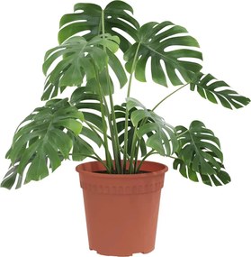 vidaXL Στρογγυλή Γλάστρα Λουλουδιών 24 pcs Κεραμιδί Ø 19 x 16 εκ