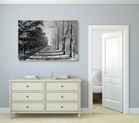 Εικόνα της φθινοπωρινής αλέας με δέντρα σε μαύρο & άσπρο - 90x60