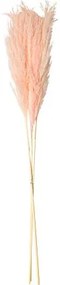 Beauty Home PAMPAS ΡΟΖ 80 CM  3 ΤΜΧ