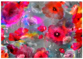 Φωτοταπετσαρία - Painted Poppies 350x245