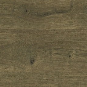 Δάπεδο Laminate Essentials 832 510031017 8mm Tundra Dark Oak Autumn 400X