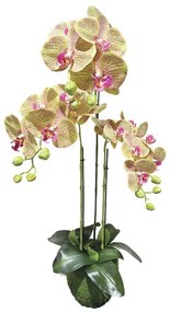 MarHome ΦΥΤΟ ΟΡΧΙΔΕΑ ΛΑΧΑΝΙ ΜΕ ΡΟΖ ΡΙΓΕΣ ΑΝΘΗ REAL TOUCH - Y82cm 2/KIB  04-94374-5