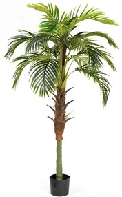 Tεχνητό Δέντρο Φοίνικας Coconut 7970-6 180cm Brown-Green Supergreens Πολυαιθυλένιο