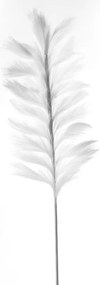 Supergreens Τεχνητό Κλαδί Pampas "Pilosa" Μπλε 120 εκ