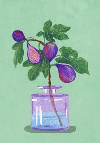 Εικονογράφηση Figs Branch In Vase, Raissa Oltmanns