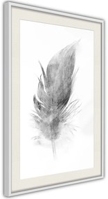 Αφίσα - Lost Feather (Grey) - 30x45 - Μαύρο - Με πασπαρτού