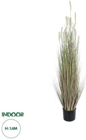 21102 GloboStar® Artificial Garden BEIGE LAGURUS 21102 Διακοσμητικό Φυτό Μπεζ Λαγοουρά Υ140cm