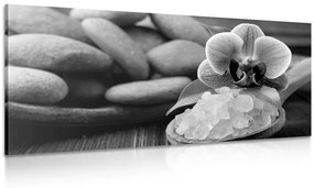 Φωτογραφίστε το θαλασσινό αλάτι και τις πέτρες Ζεν σε ασπρόμαυρο - 120x60