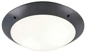 Φωτιστικό Οροφής - Πλαφονιέρα Camaro R60502042 33x9cm 2xE27 12W Anthracite-White RL Lighting Plastic