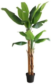 New plan BANANA TREE  NP708_220 ΥΨΟΣ 220cm Τεμαχιο