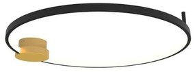 Πλαφονιέρα Φωτιστικό Οροφής LED 24W IP20 3000K Zambelis-23098-Χρυσό 23098
