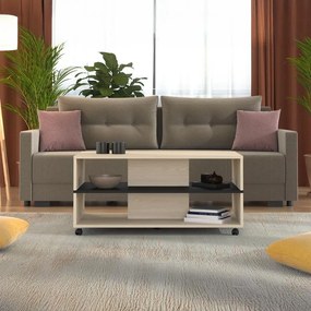 Τραπεζάκι σαλονιού SAVIO σε Light Port Oak - Μαύρο 101x55x48εκ. 101x55x48 εκ.