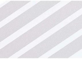 Αντιολισθητικά Αυτοκόλλητα Ντουζιέρας Antislip (Σετ 5τμχ) Clear Sealskin PVC