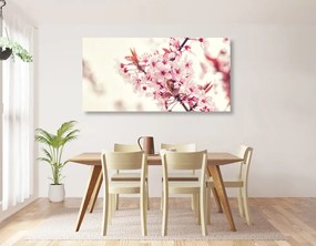 Εικόνα με ροζ άνθη κερασιάς - 120x60